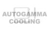 AUTOGAMMA 105031 Condenser, air conditioning